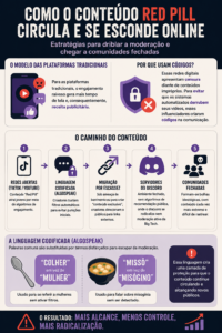 Circulação do conteúdo Red Pill nas plataformas digitais. Infográfico produzido em 7 jun. 2026 com auxílio do ChatGPT (OpenAI) para geração visual, a partir do prompt: "crie um último infográfico com essas informações". A IA foi utilizada apenas para a produção gráfica; a pesquisa, redação e checagem das informações foram realizadas integralmente pelas autoras